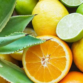 Citrus Agave - Highly Scented Wax Melts