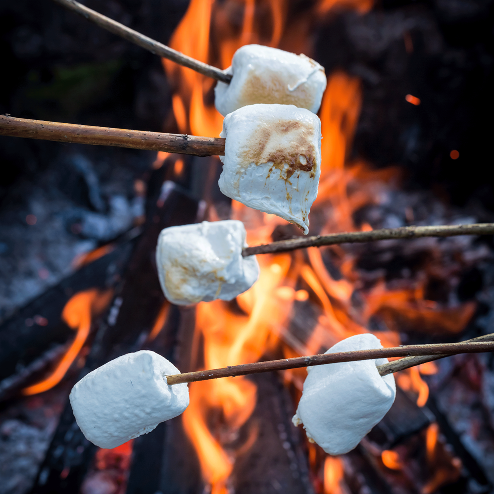 Campfire Marshmallow - Highly Scented Wax Melts