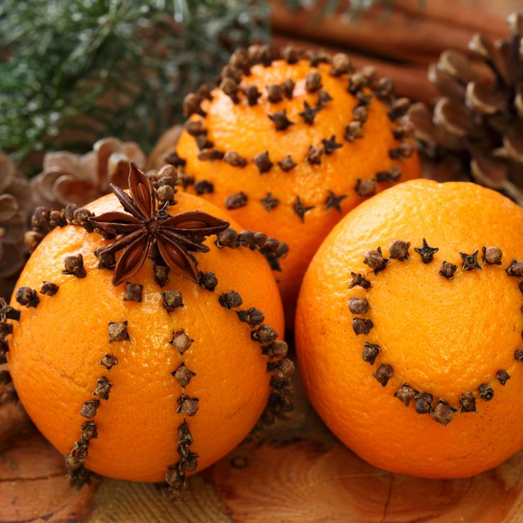 Peppercorn Pomander - Highly Scented Wax Melts