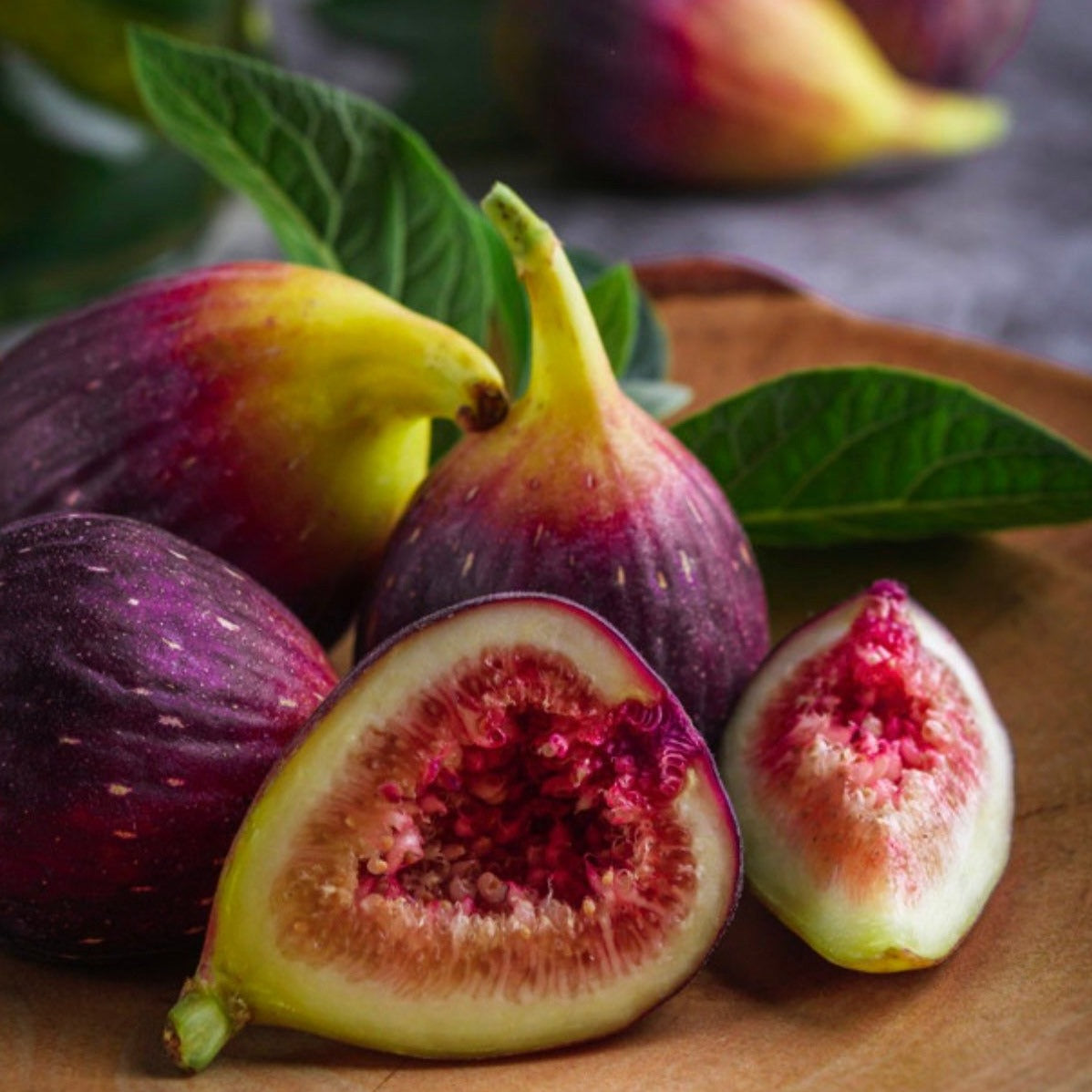 Mediterranean Fig - Highly Scented Wax Melts