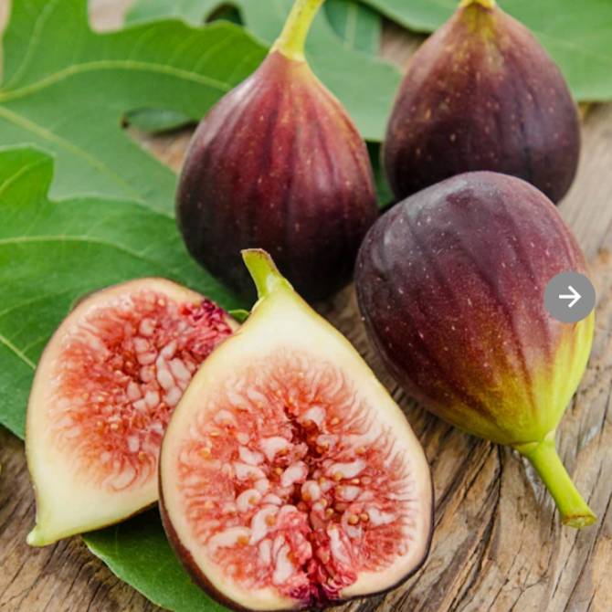 Fig Tree - Highly Scented Wax Melts