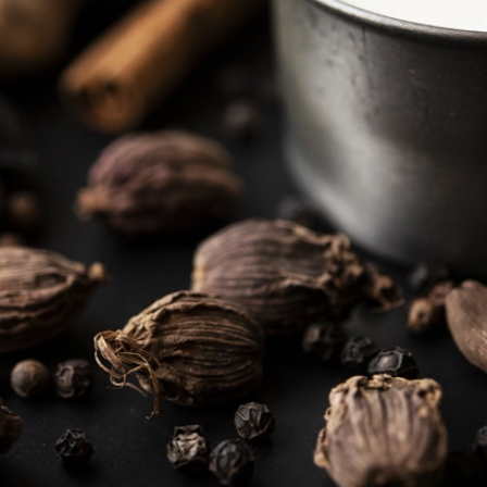 Black Cardamom & Cream - Highly Scented Wax Melts