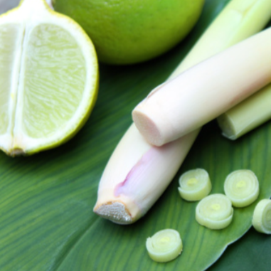 Lemongrass & Lime - Highly Scented Wax Melts