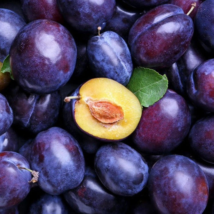 Cashmere Plum - Highly Scented Wax Melts