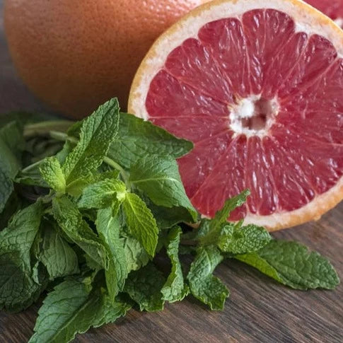 Grapefruit & Mint - Highly Scented Wax Melts