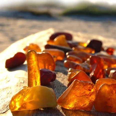 Egyptian Amber - Highly Scented Wax Melts
