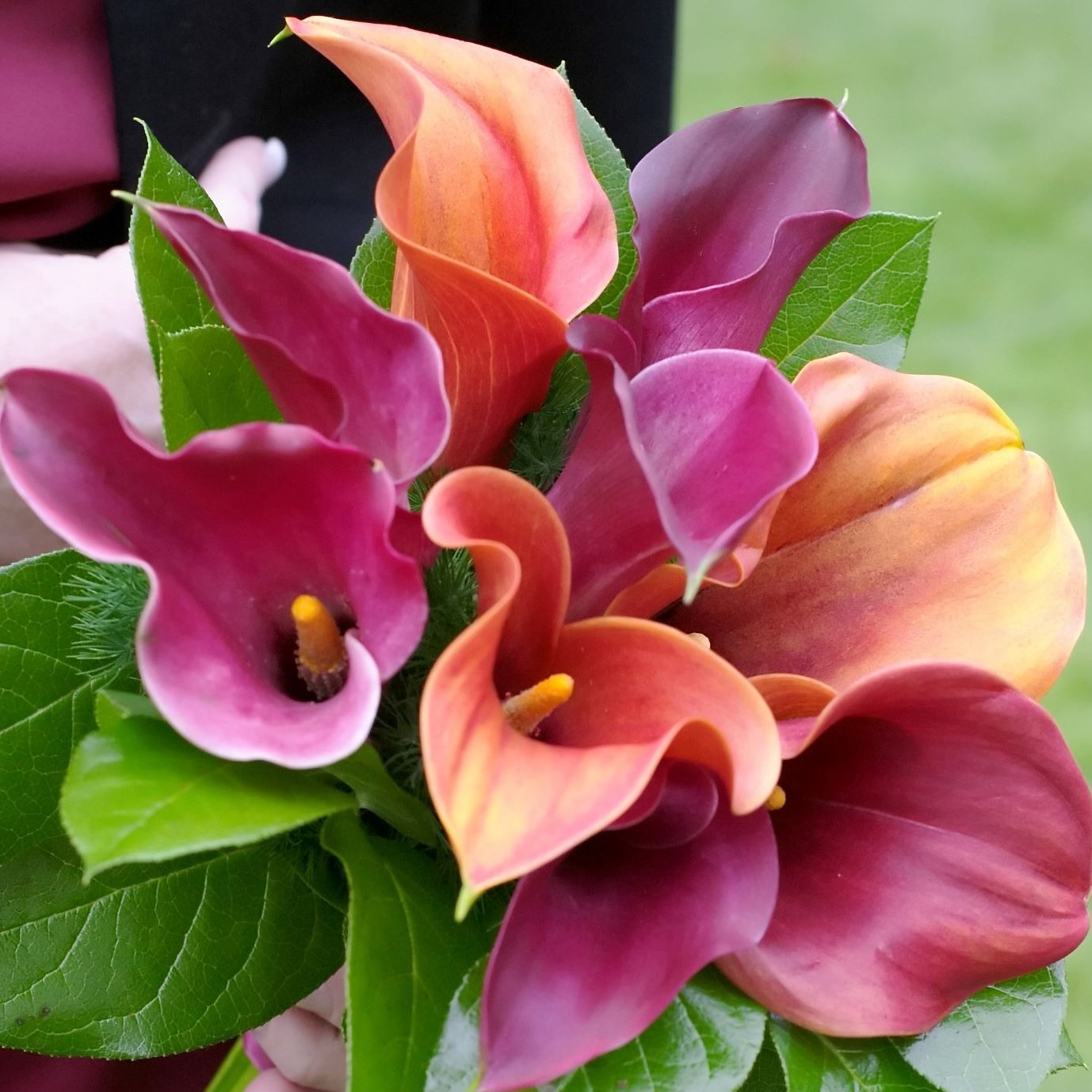 Calla Lilly - Highly Scented Wax Melts