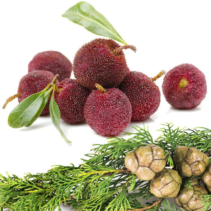 Cypress & Bayberry - Highly Scented Wax Melts