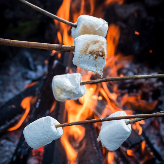 Campfire Marshmallow - Highly Scented Wax Melts
