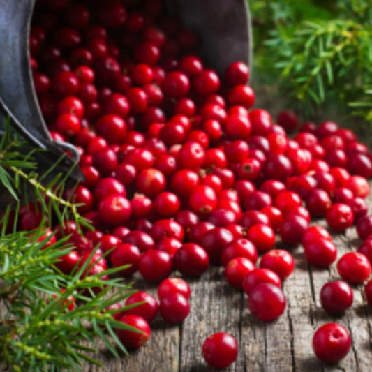 Cranberry Woods - Highly Scented Wax Melts